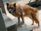 DSCF0292