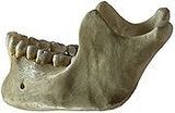 ad6d4511-s